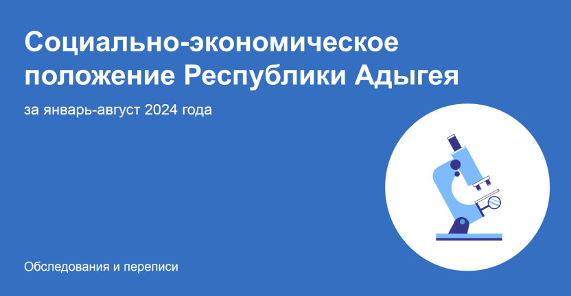 Социально-экономическое положение Республики Адыгея за январь-август 2024 года